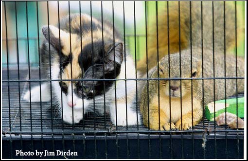 petting-zoo_wgff02_cd4_0039