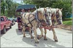 kids-horses_wgff08_dvd5_2179